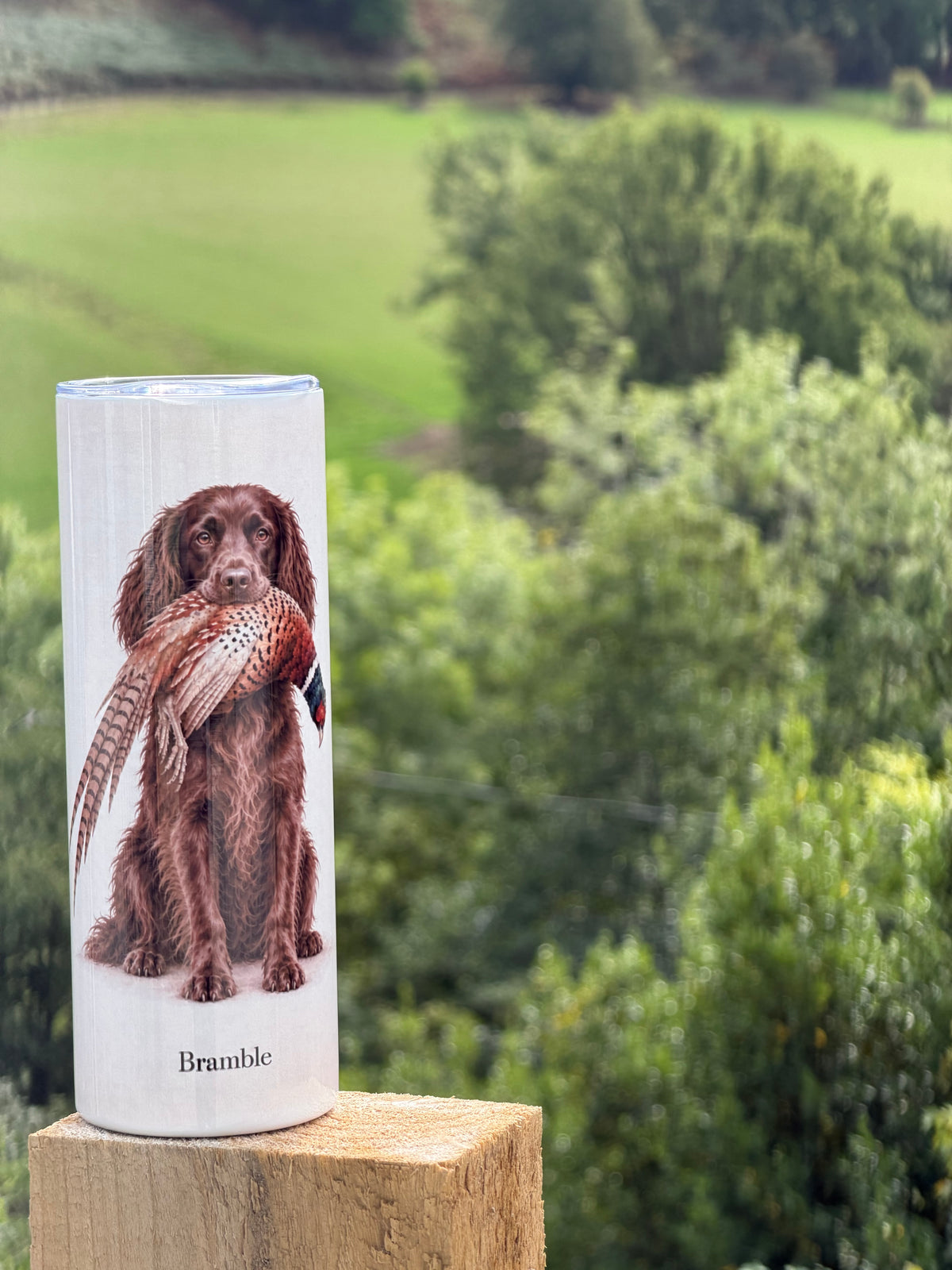 Working Spaniels