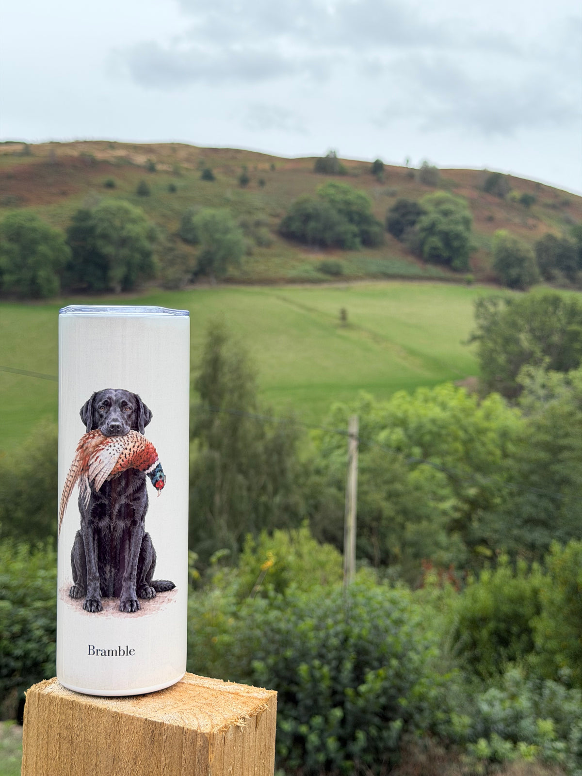 The Working Labrador