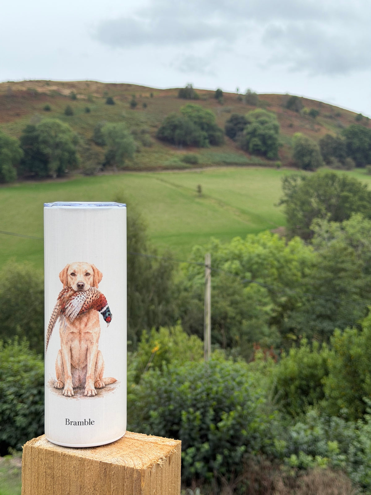 The Working Labrador