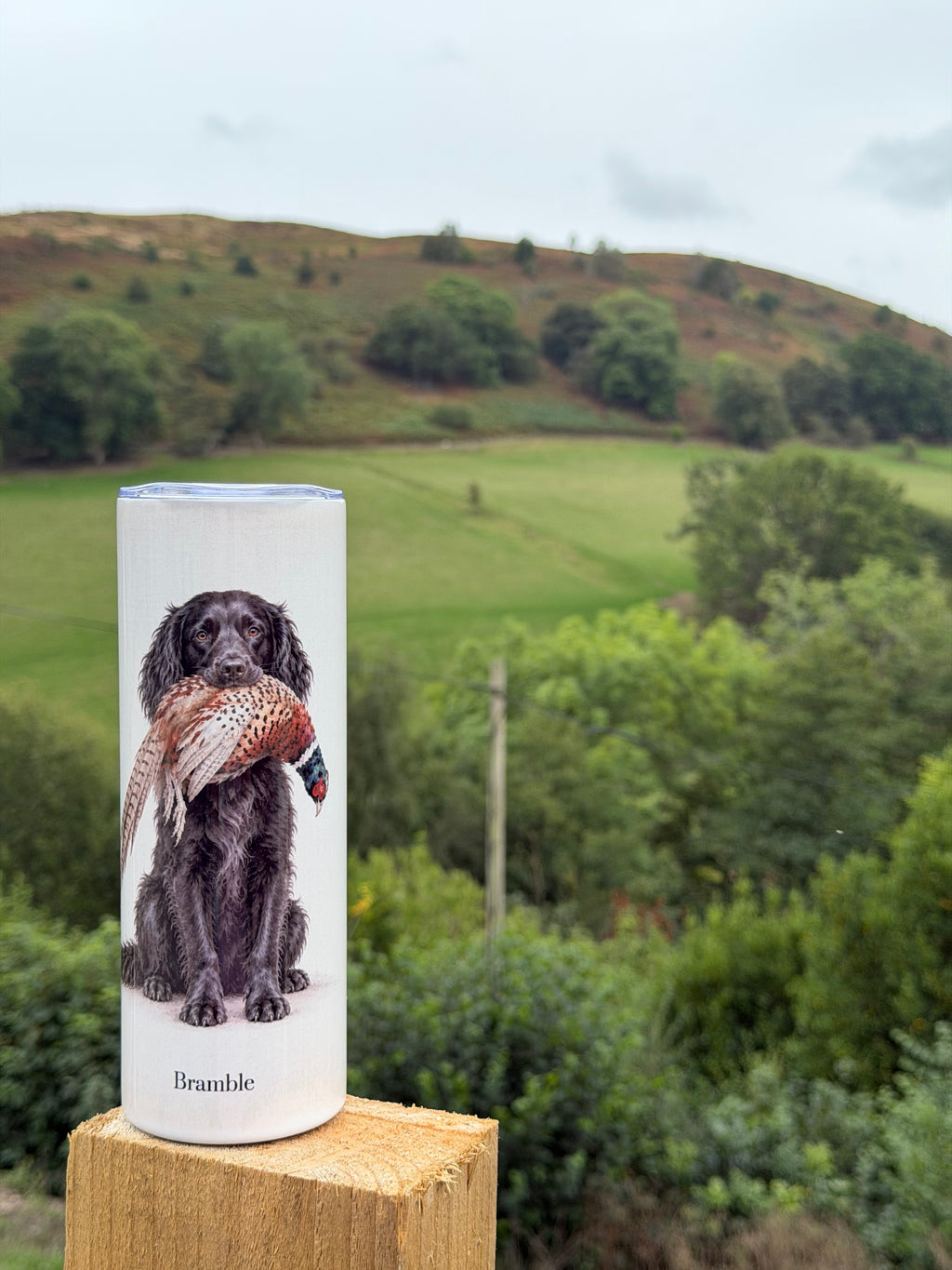 Working Spaniels