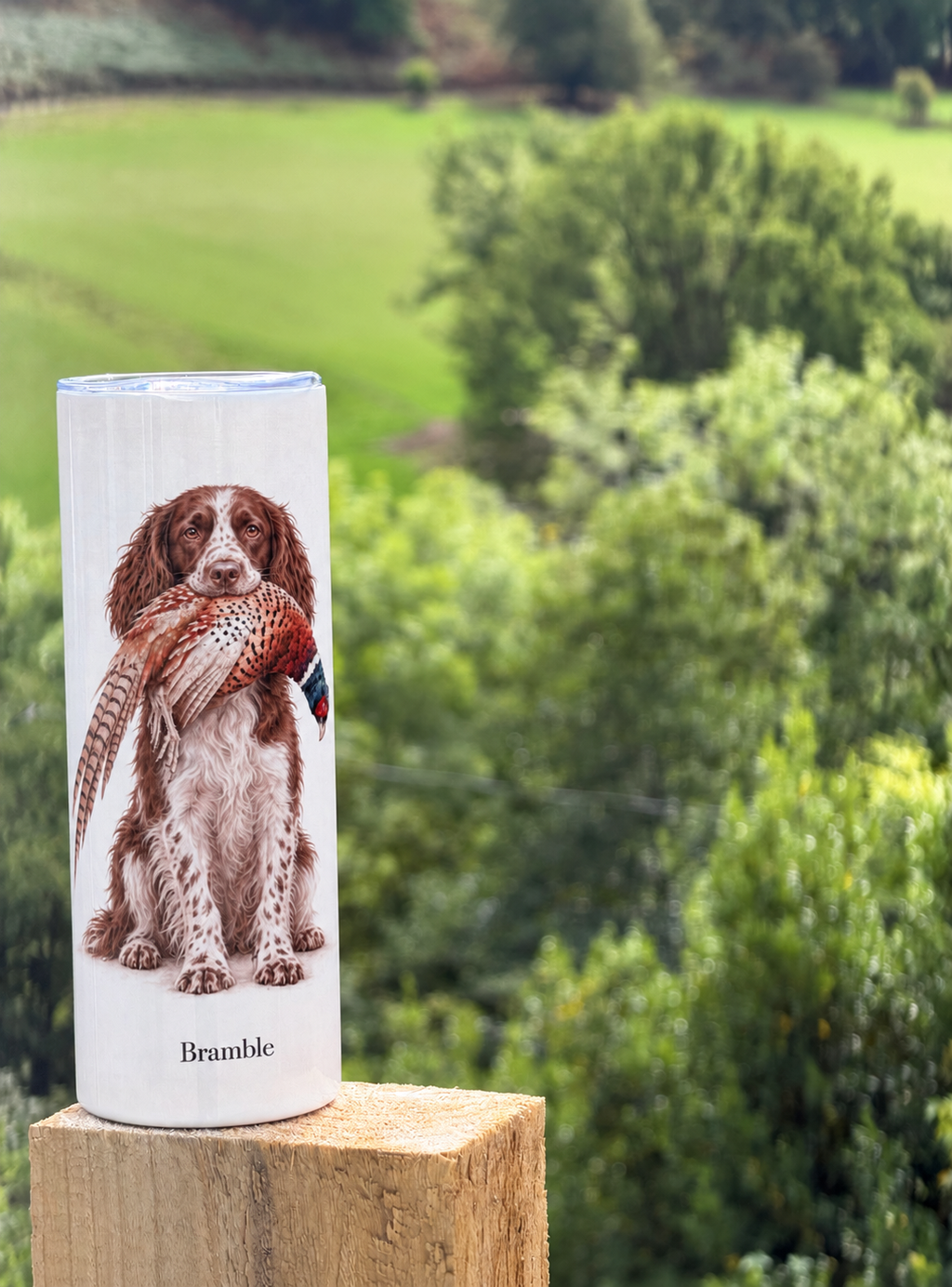 Working Spaniels